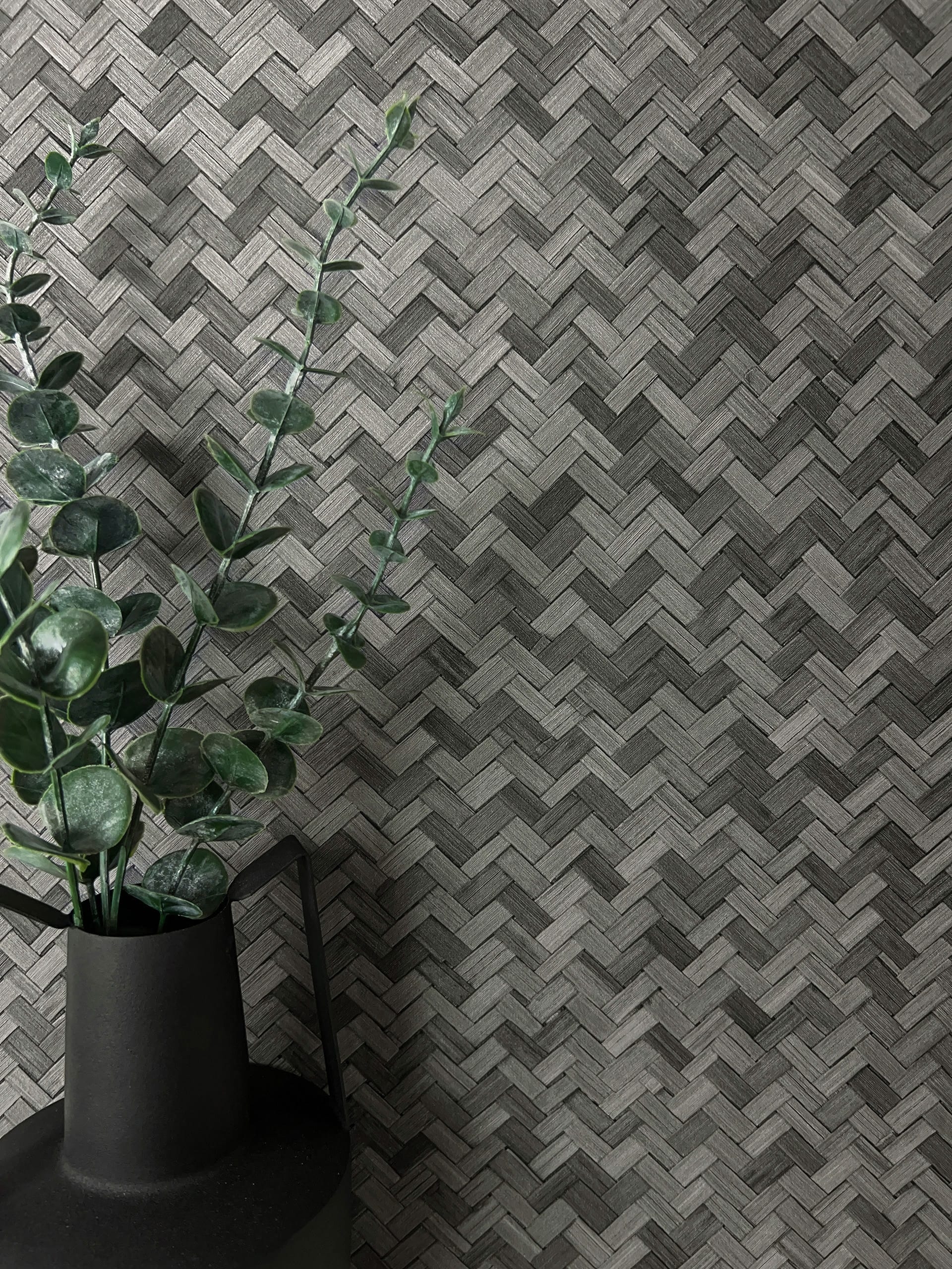 Calamus Noir