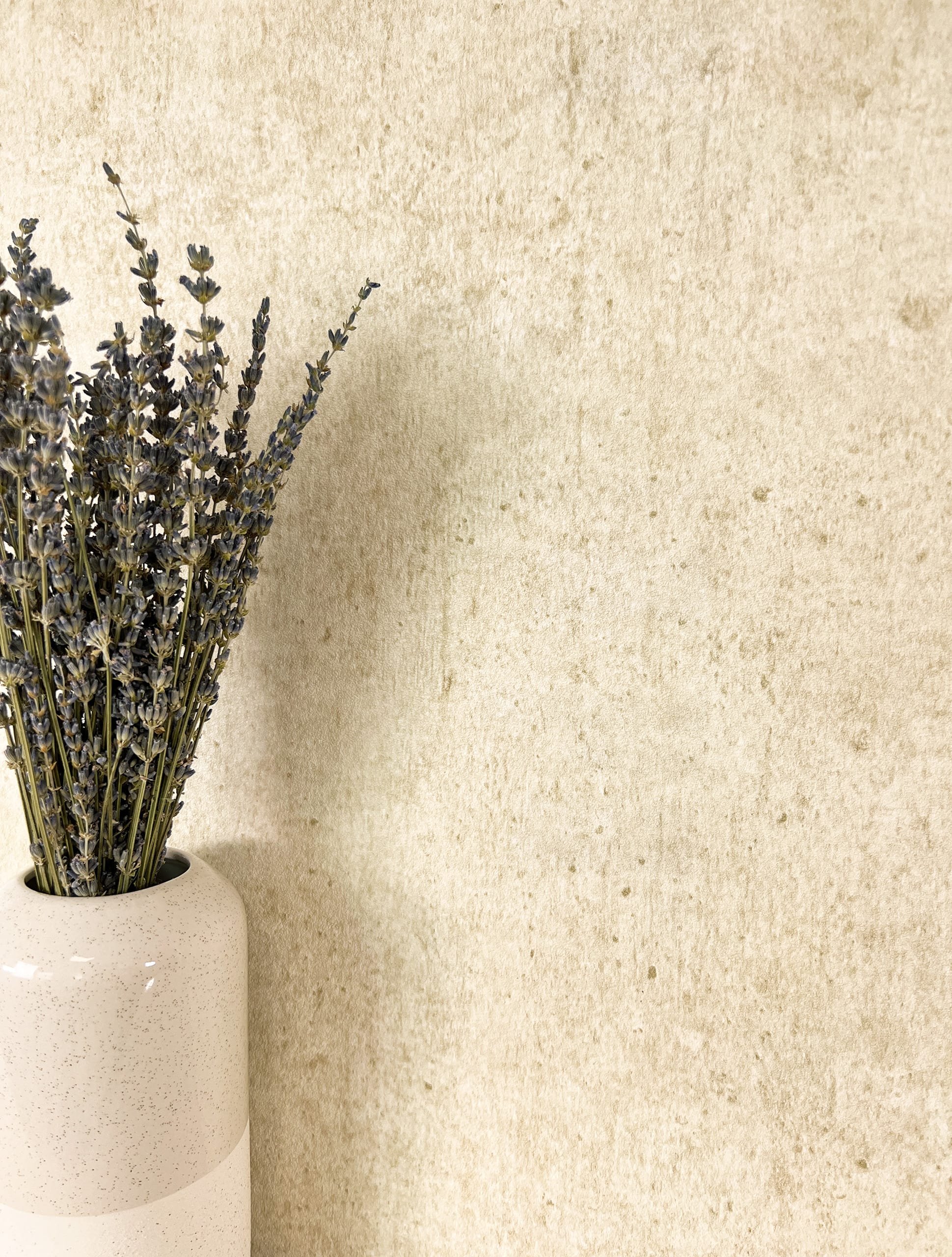 Dunya Beige
