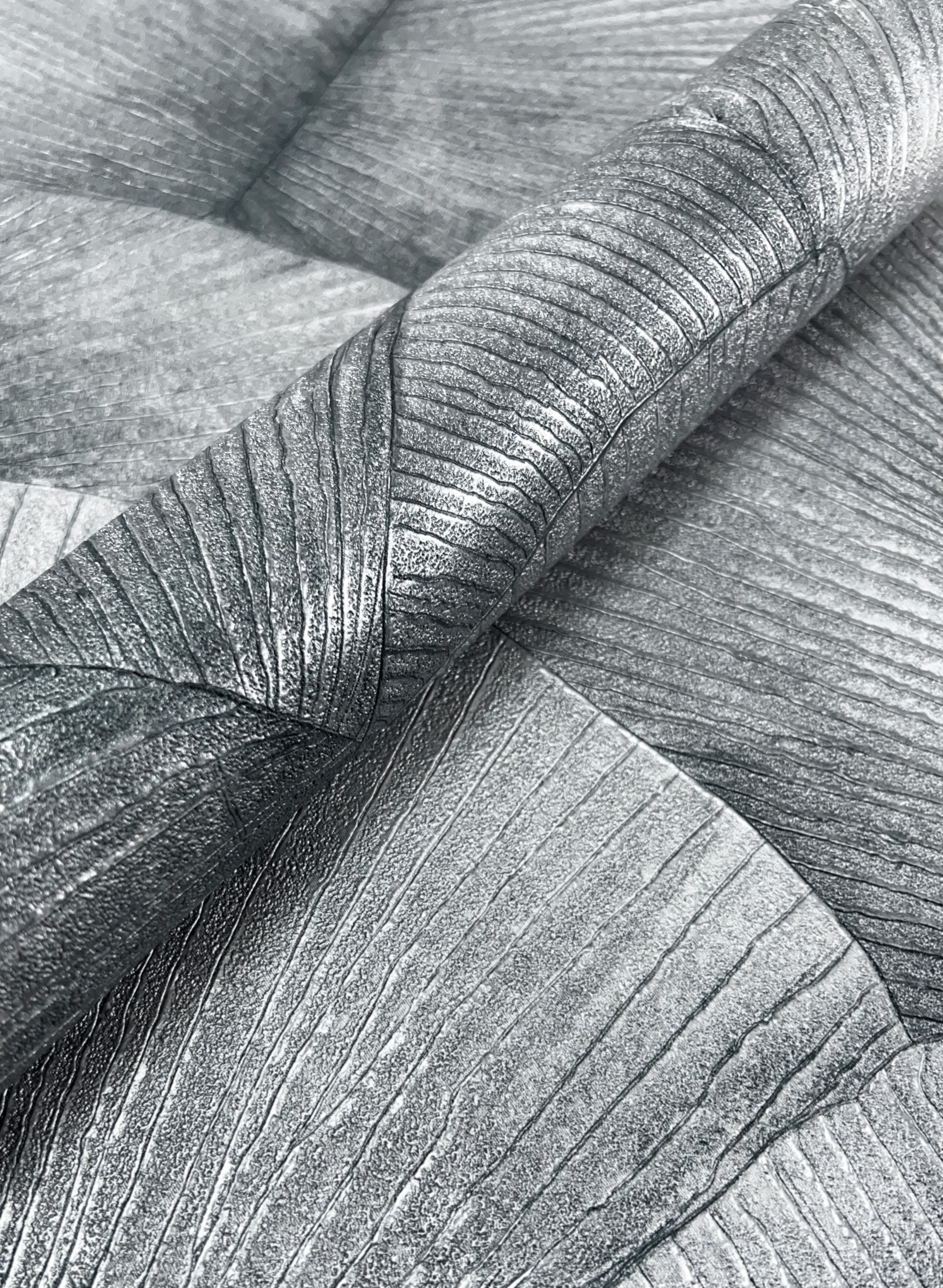 Palmera Silber 