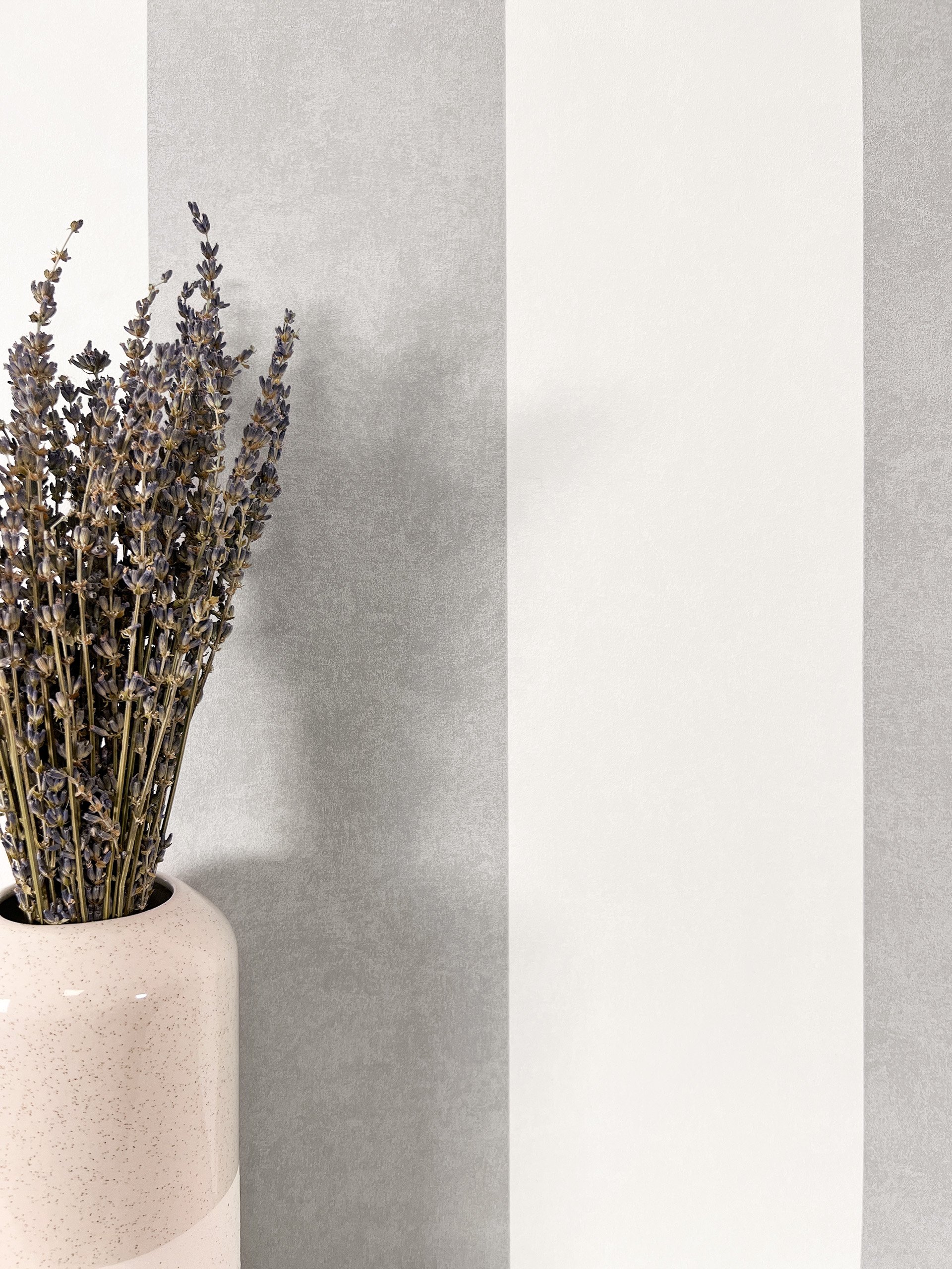 Finia Grey