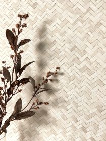 Nazila Rattan 1